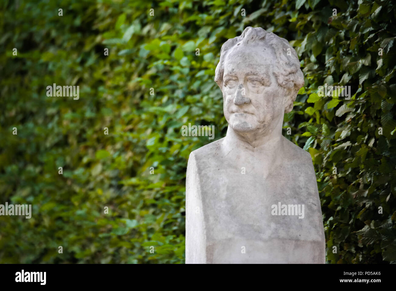 Marmorbüste von Johann Wolfgang von Goethe vor grüner Hecke, Gartenporträt, Park Sanssouci, Potsdam Stockfoto
