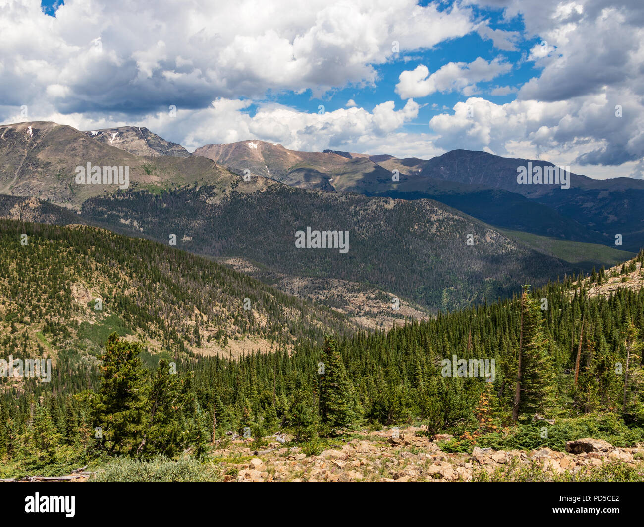 Sonnig, immergrüne Vordergrund mit überlappenden Colorado Rocky Mountains darüber hinaus. Dunkle Wolken, aber ein Hauch von blauen Himmel. Für Hintergrund, Text. Stockfoto