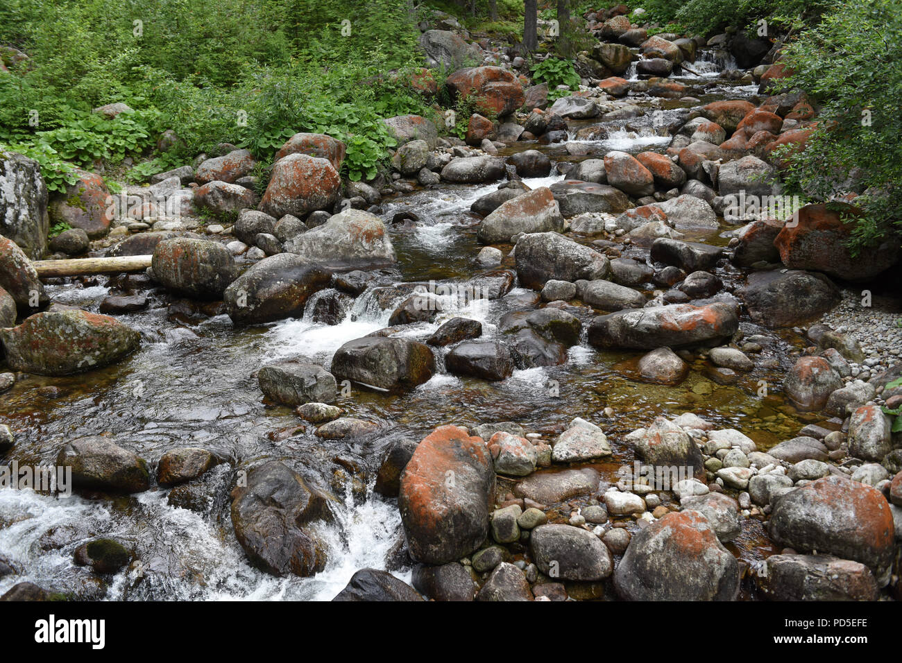 Mountain Stream auf Tatra National Park in der Nähe von Zakopane Polen Stockfoto