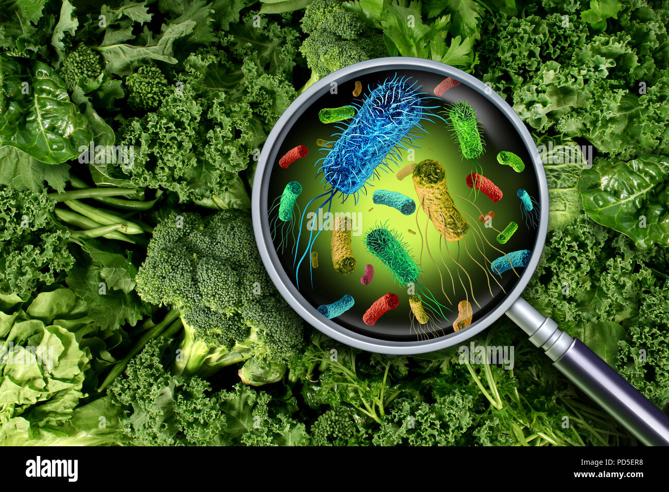 Bakterien und Keime auf Gemüse und die Gefahr für die Gesundheit des auslösenden Nahrungsmittels grün Essen einschließlich römersalat als Sicherheitskonzept produzieren verunreinigt. Stockfoto