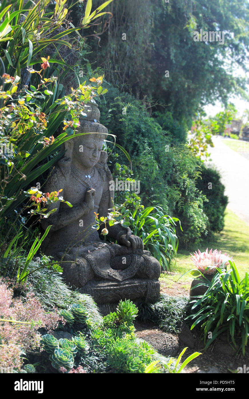 Ein zen Buddha Statue, ruhig Begrüßung der Besucher in den üppigen Pflanzen und Blumen der Ali'i Kula Lavender Farm Stockfoto