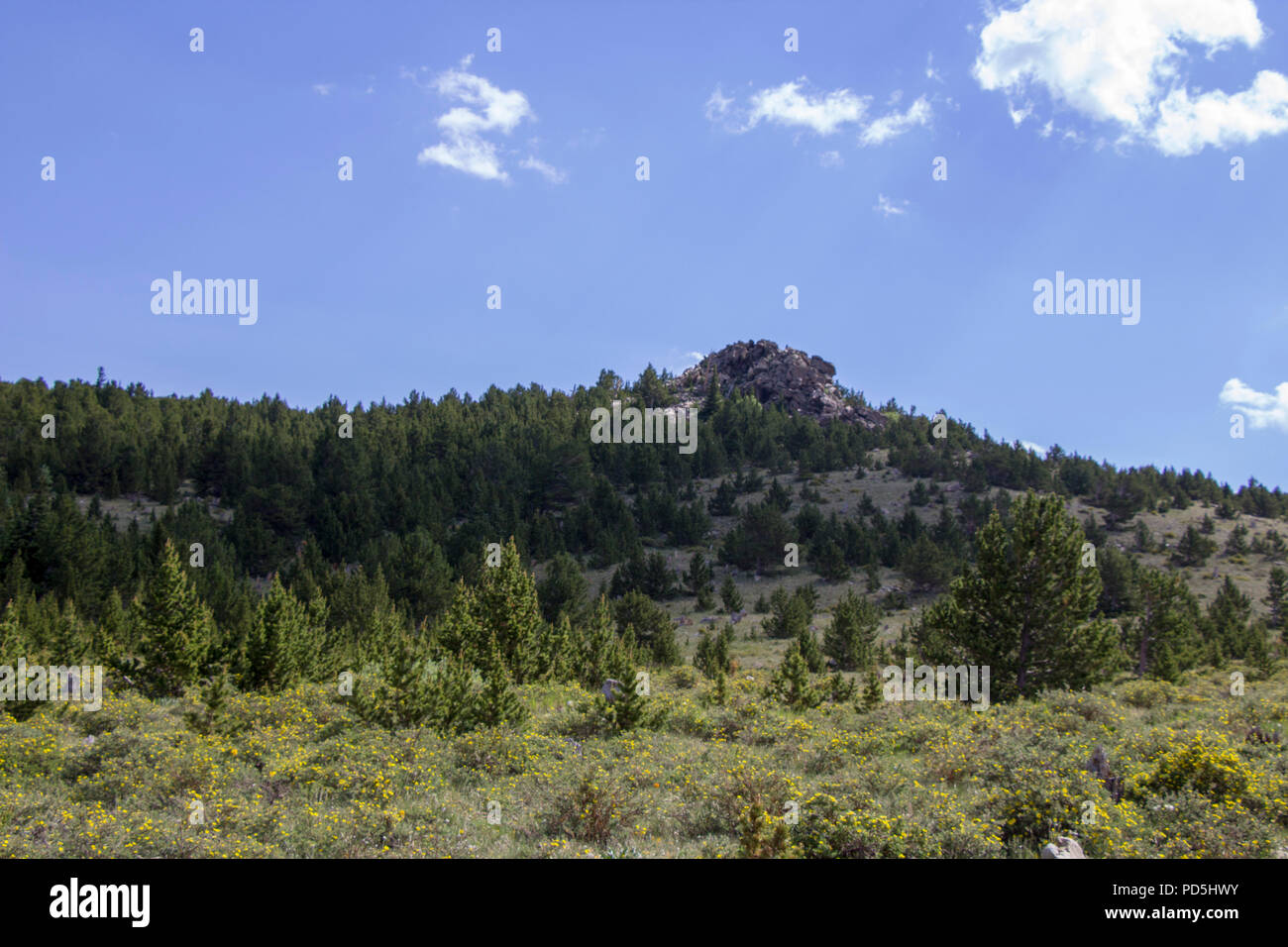 Erkunden Yankee Hill im Jeep Stockfoto