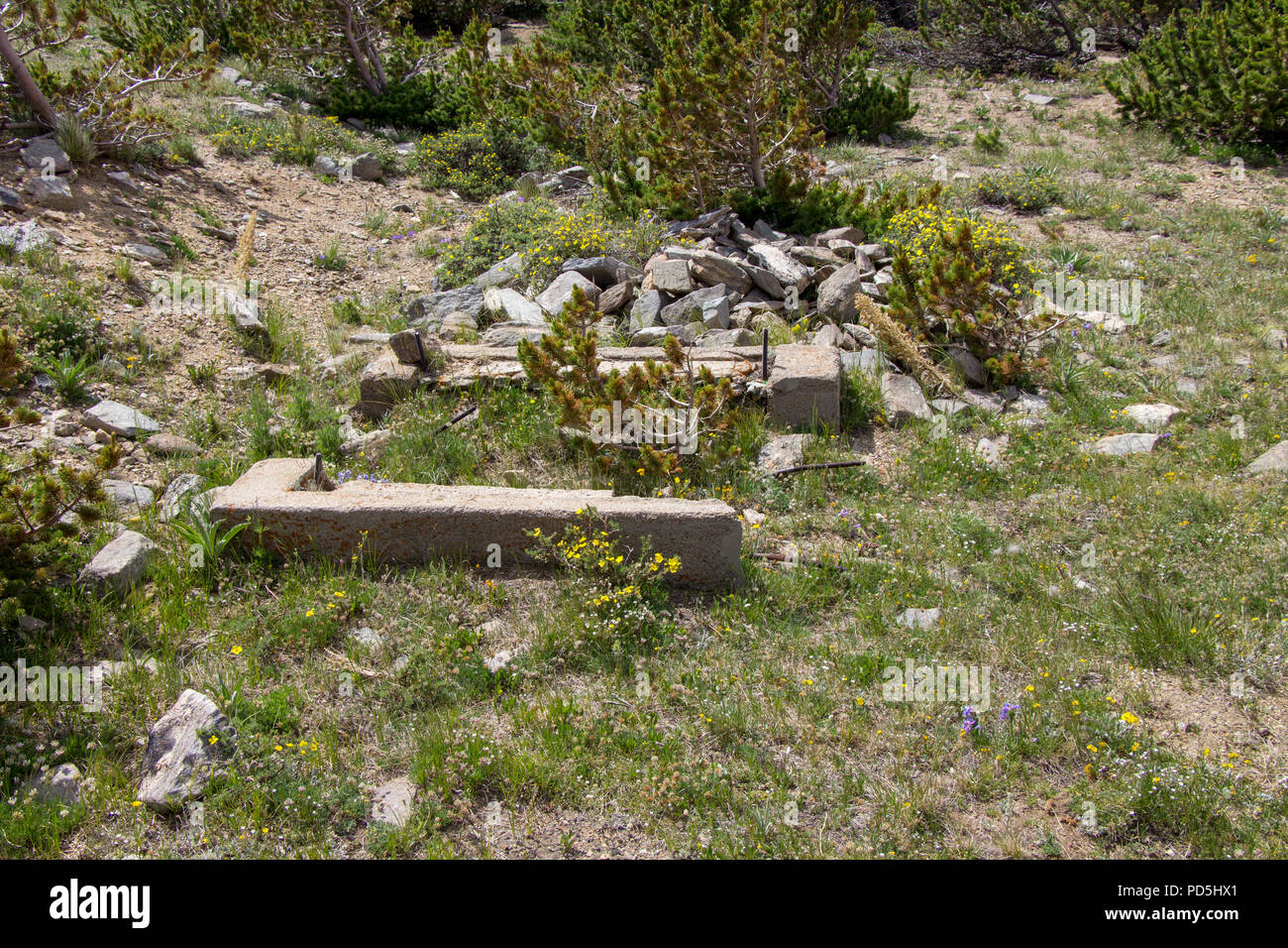 Erkunden Yankee Hill im Jeep Stockfoto