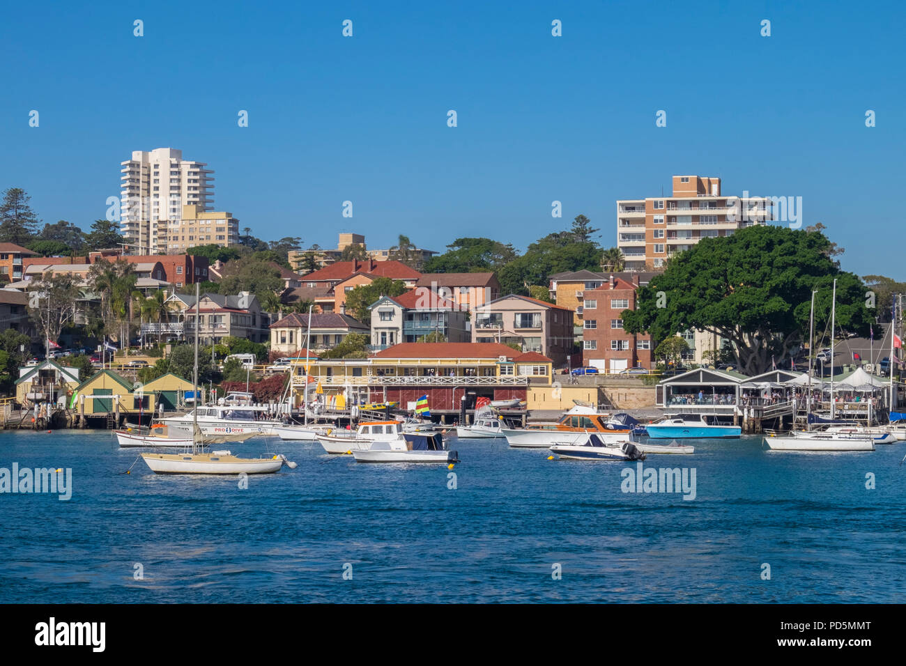 Yacht segelt in den Hafen von Sydney, Port Jackson, New South Wales, Australien. Stockfoto