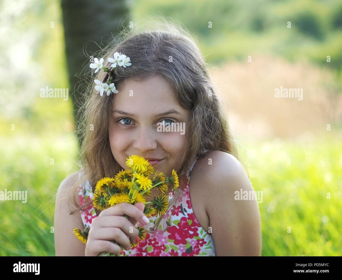 Outdoor-kleines Mädchen mit Bouquet von Löwenzahn Stockfoto