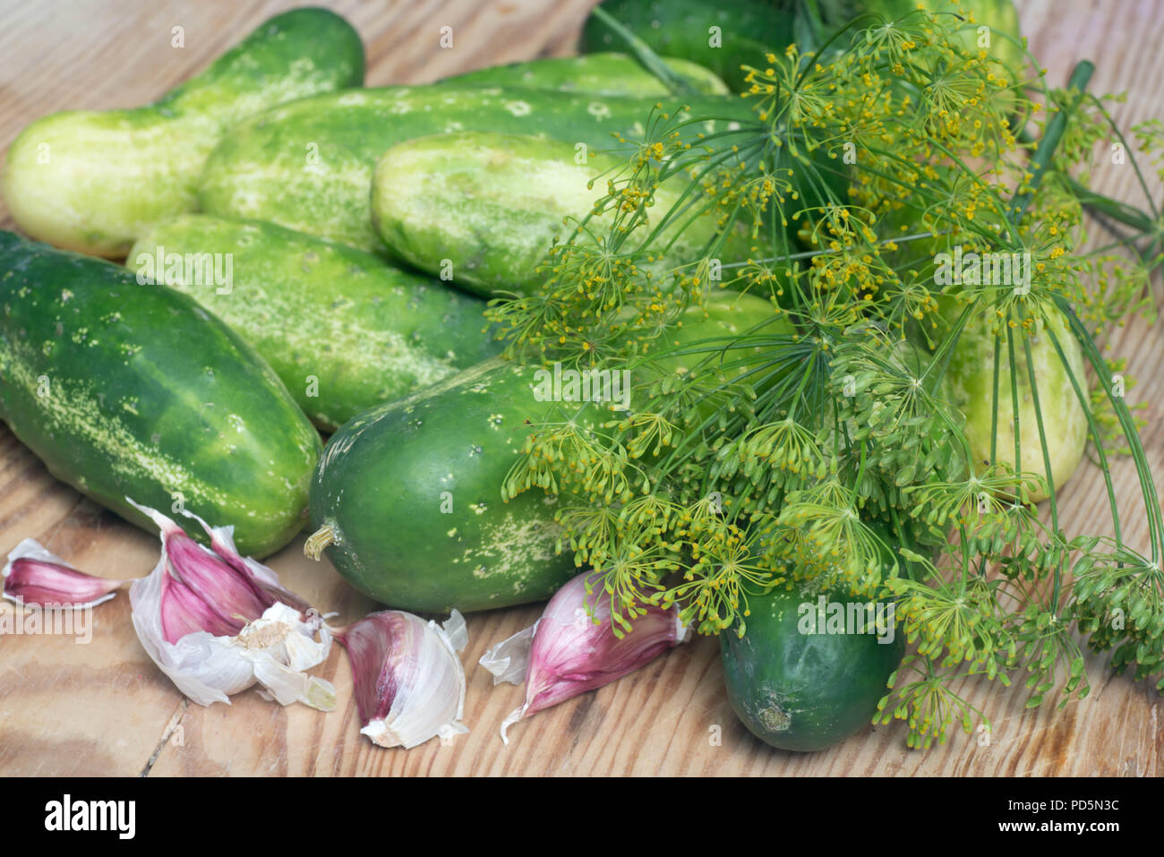 Gurken und Gewürzen Stockfoto