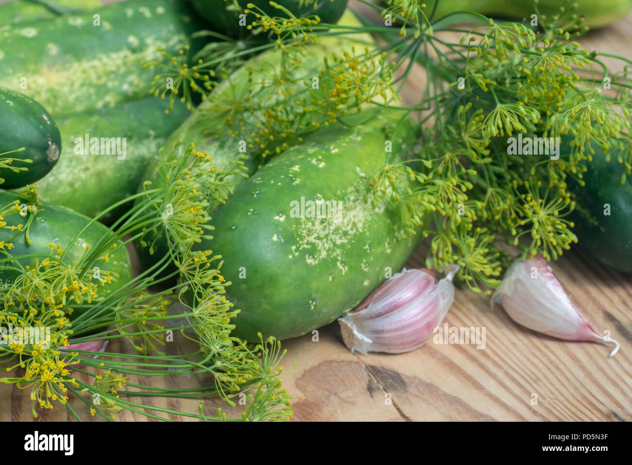 Gurken und Gewürzen Stockfoto