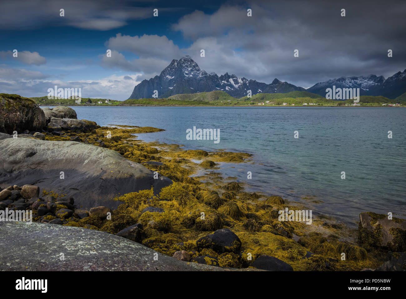 Am Ufer eines Fjord, Kabelvag, Lofoten, Norwegen. Stockfoto