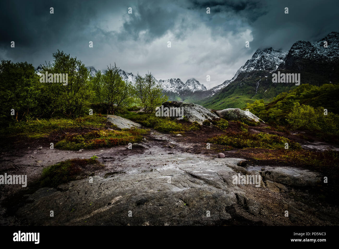 Stürmischer Sommertag in den Lofoten Inseln, Norwegen. Stockfoto