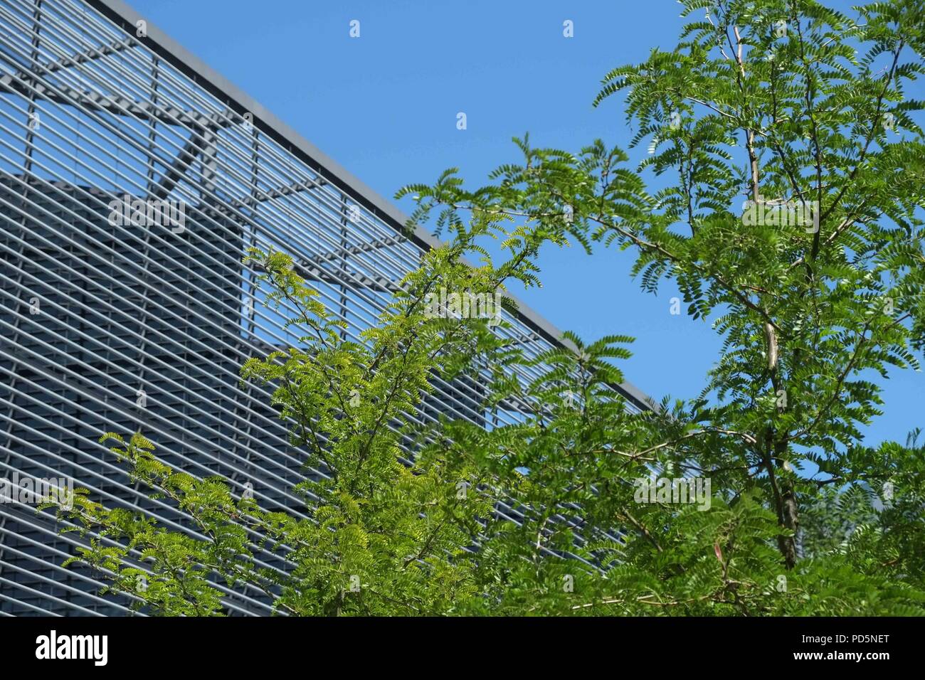 Zusammenfassung von mehr zwei Bürogebäude vor blauem Himmel mit Zweigen von ein grüner Baum Stockfoto