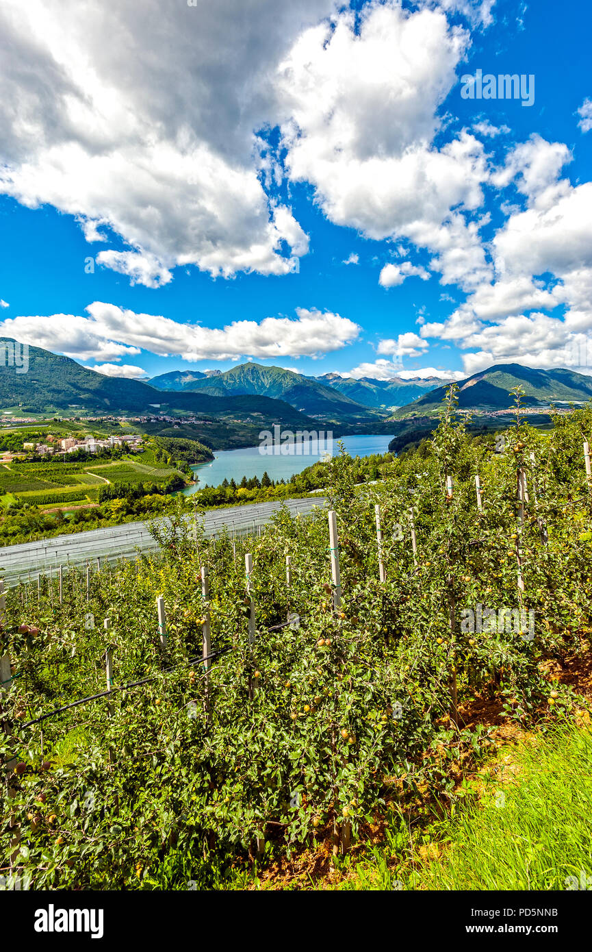 Trentino Alto Adige Val di Non Santa Giustina See und Äpfel, Bäume, Stockfoto