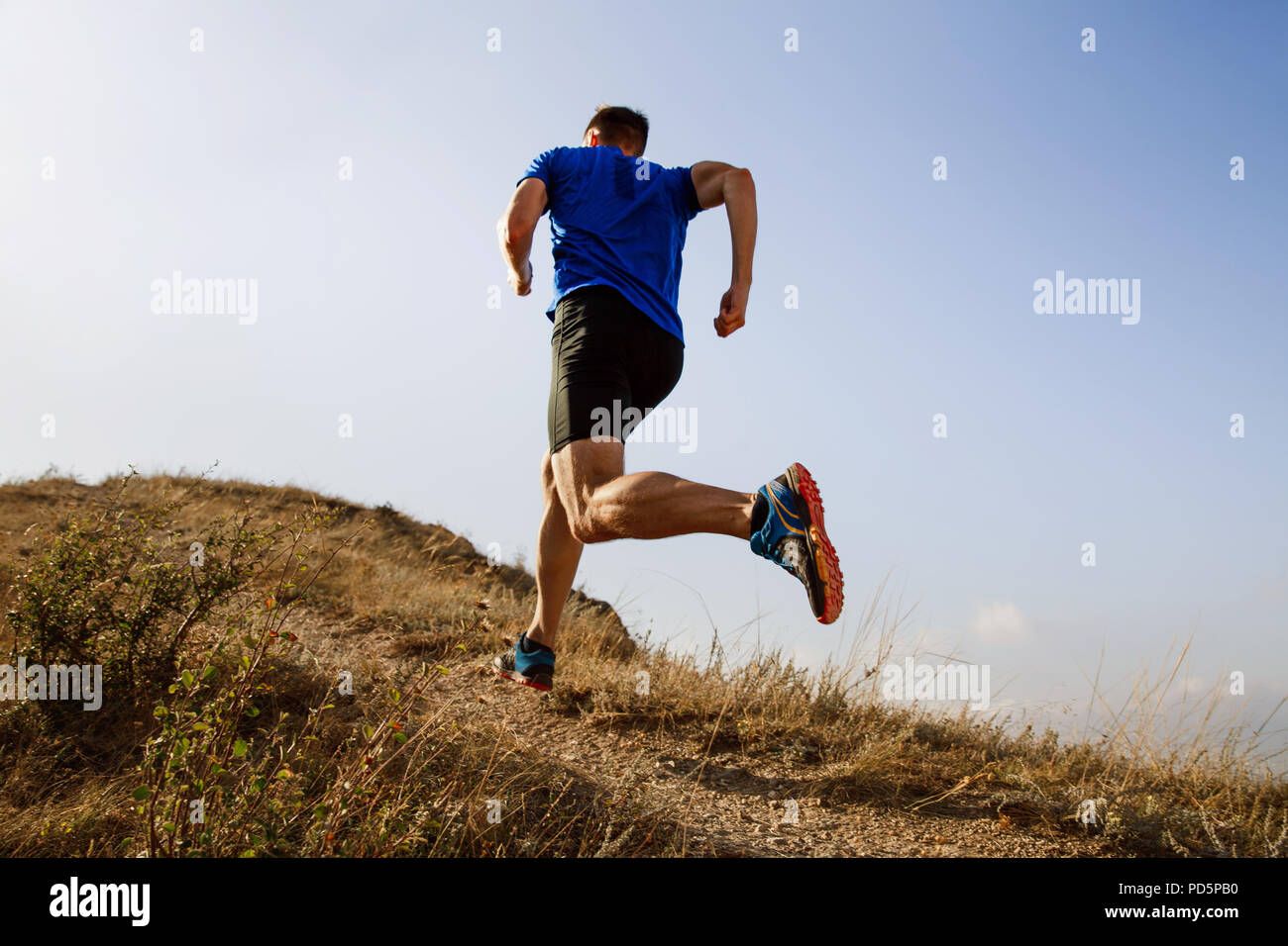 Laufen im Herbst trail auf männlichen Athleten runner Stockfoto