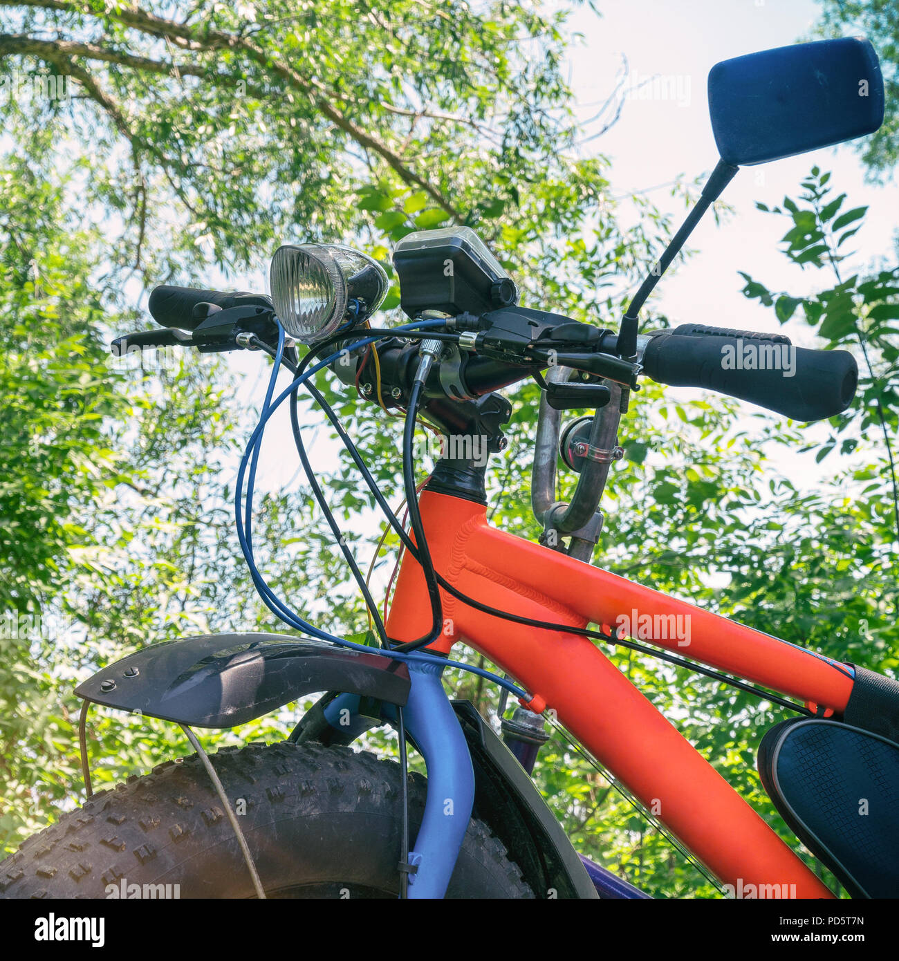 Fat Bike - Mountainbike mit dicken Reifen im Wald Stockfotografie - Alamy