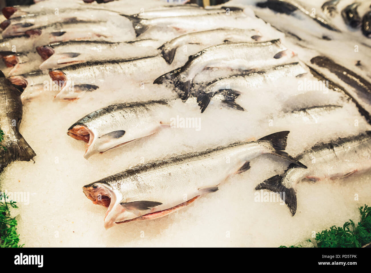 Seattle, Washington, USA - Juli 6, 2018: frischen Lachs auf Eis am Fischmarkt in Seattle, Washington, USA Stockfoto