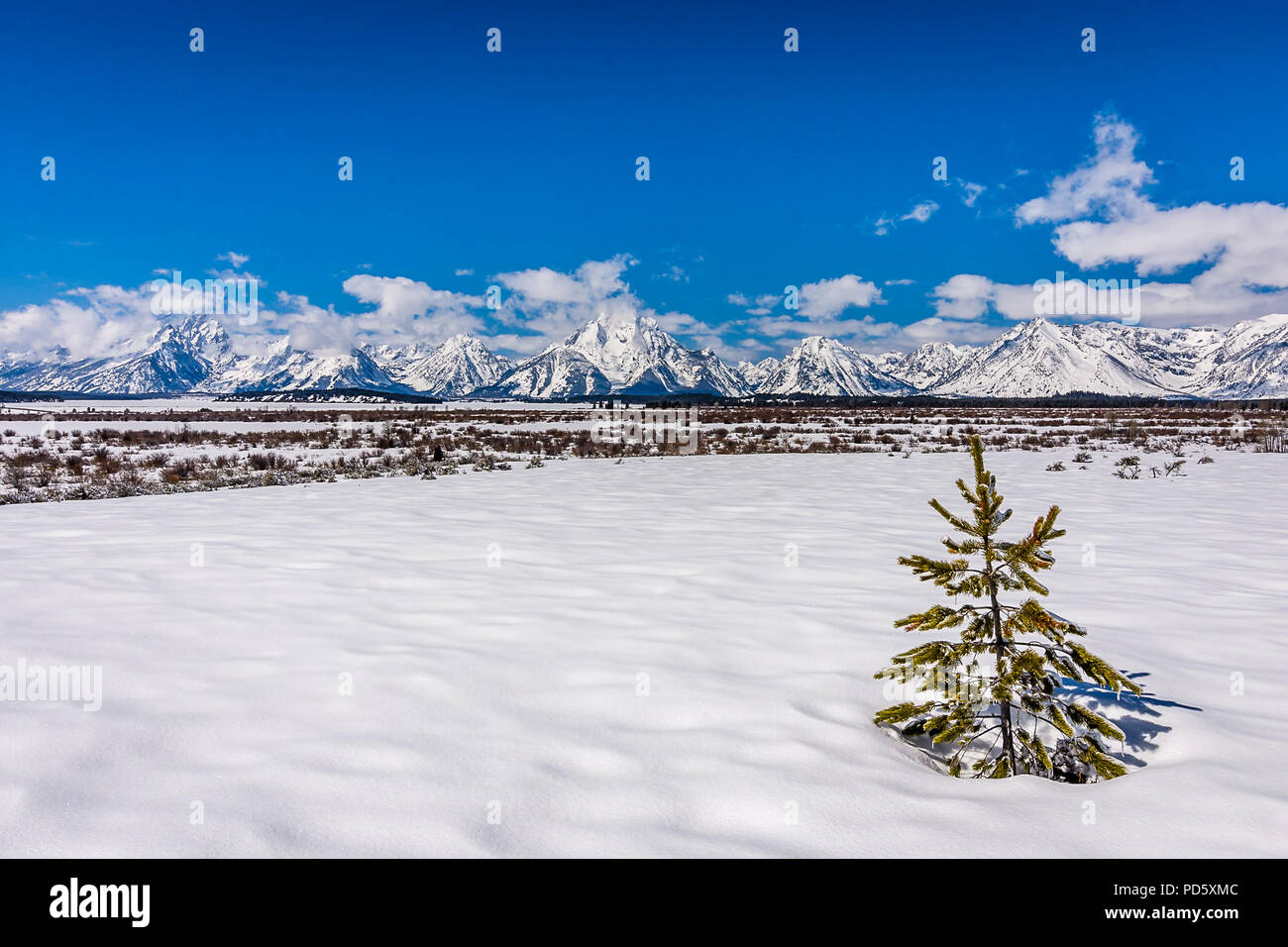 Grand Teton Bergkette Stockfoto