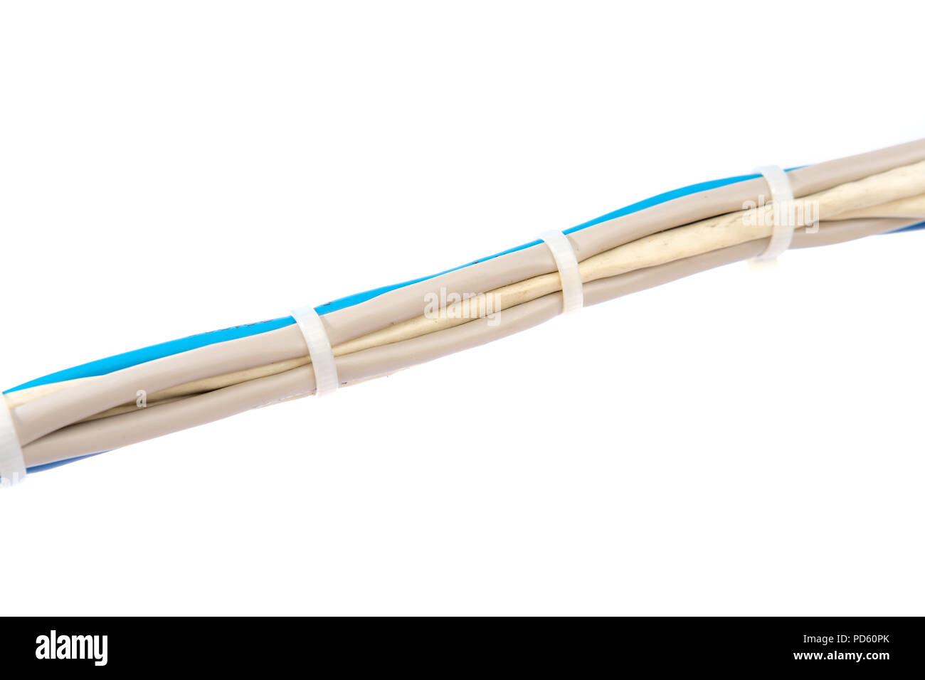 Ein Bündel von local area network Kabel miteinander verbunden und Anschlüsse für Internet Stockfoto