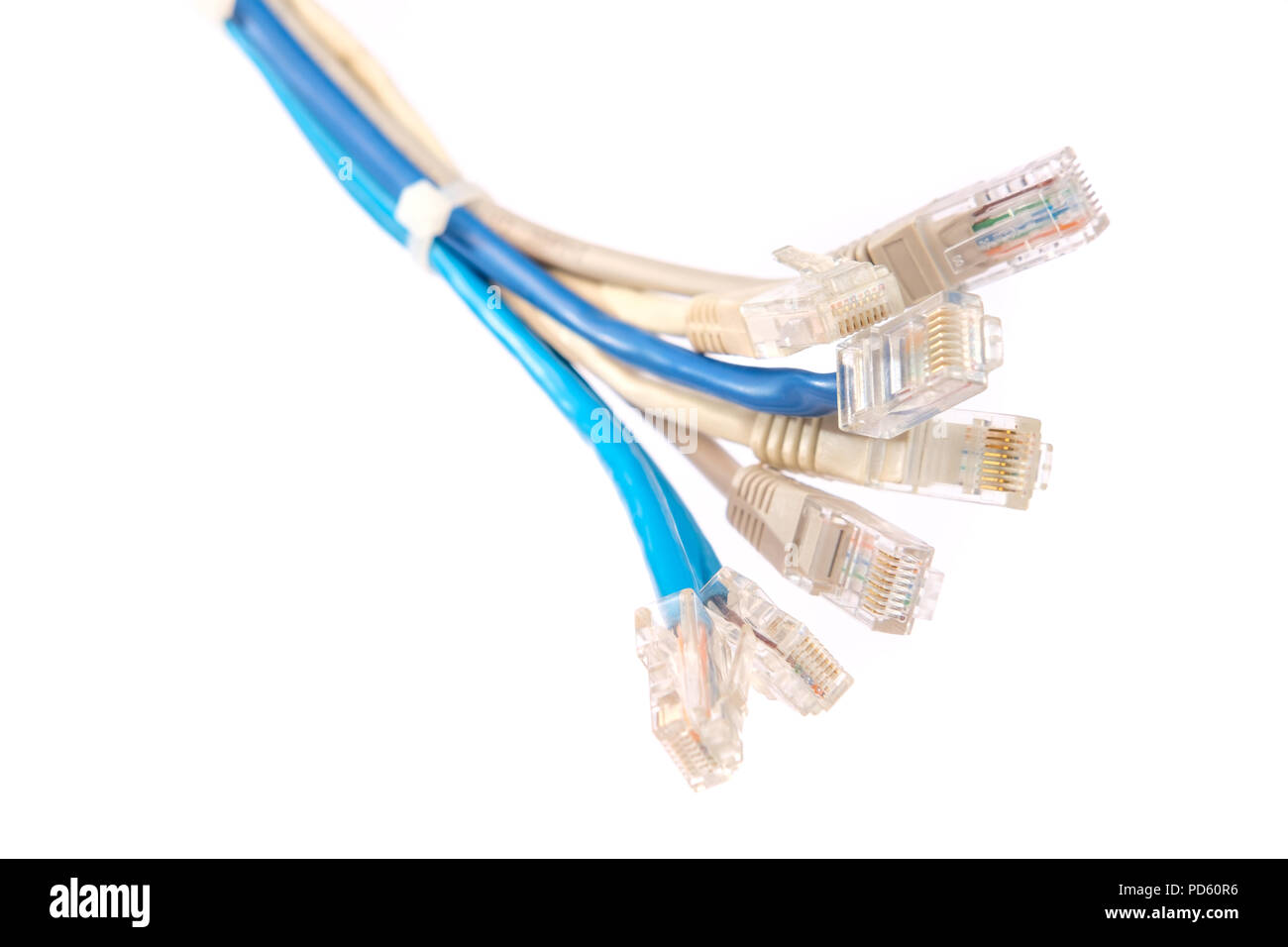 Ein Bündel von local area network Kabel miteinander verbunden und Anschlüsse für Internet Stockfoto