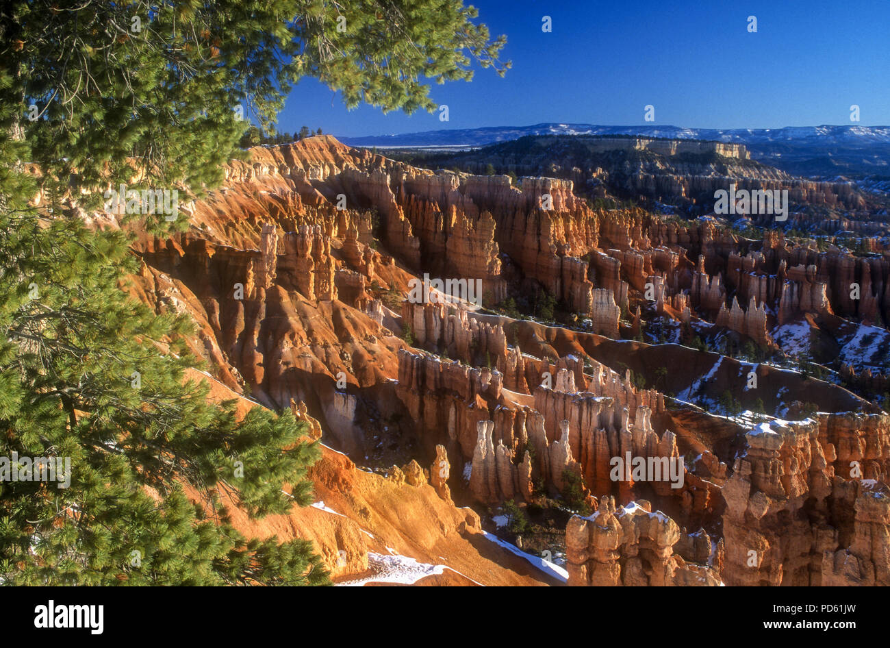 Nordamerika; Usa, Utah, Bryce Canyon National Park; Dawn; Wüste; Landschaften; natürliche Funktion. Stockfoto