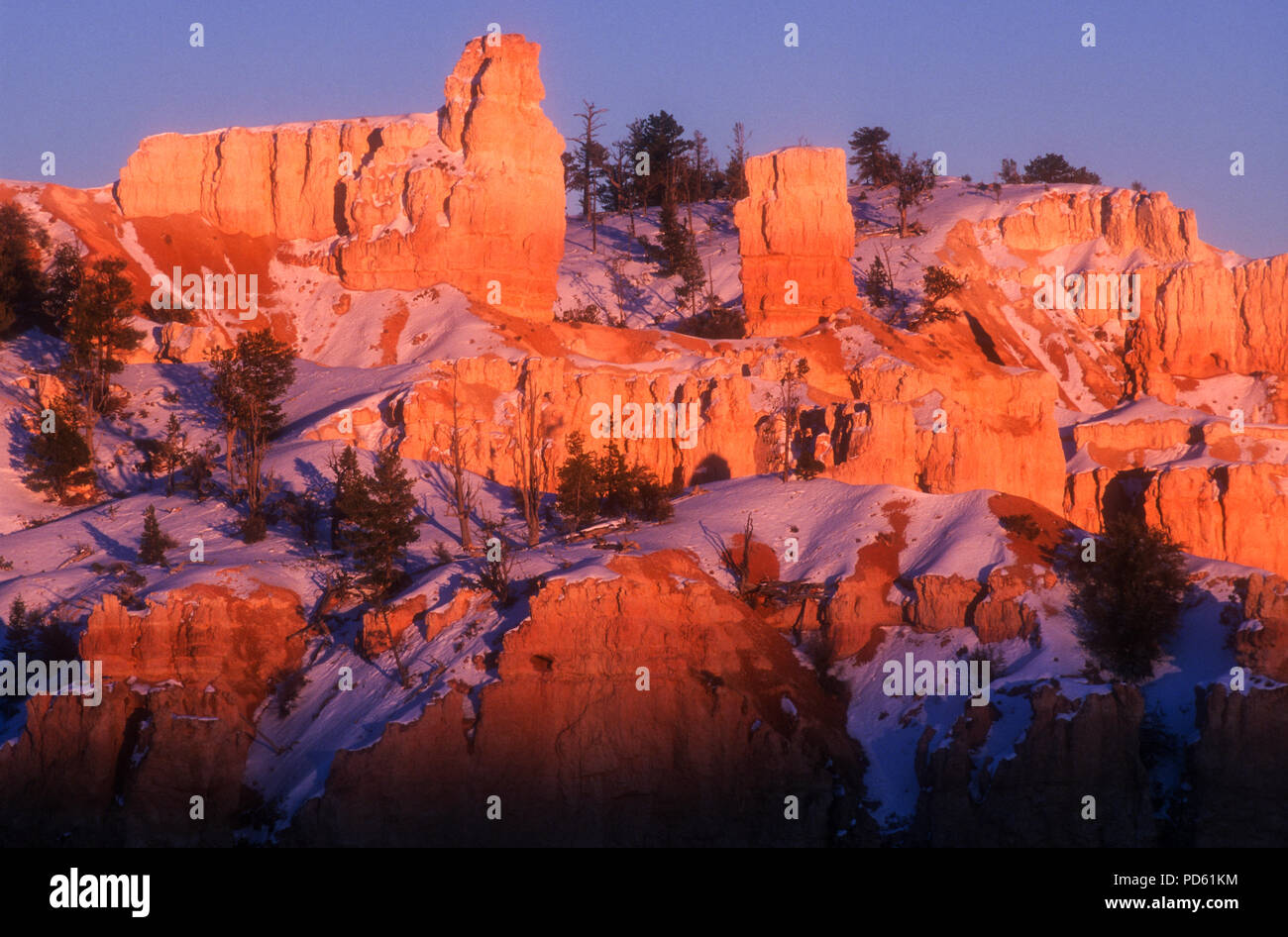 Nordamerika; Usa, Utah, Bryce Canyon National Park; Wüste; Landschaften; natürliche Funktion; Dawn. Stockfoto