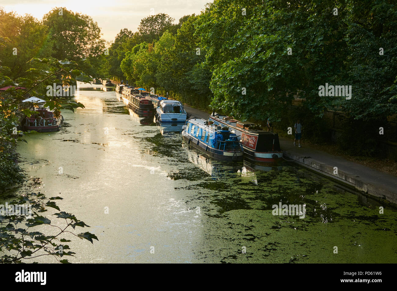 Die Regents Canal im Victoria Park, East London, UK, am frühen Abend, während der Hitzewelle 2018 Stockfoto