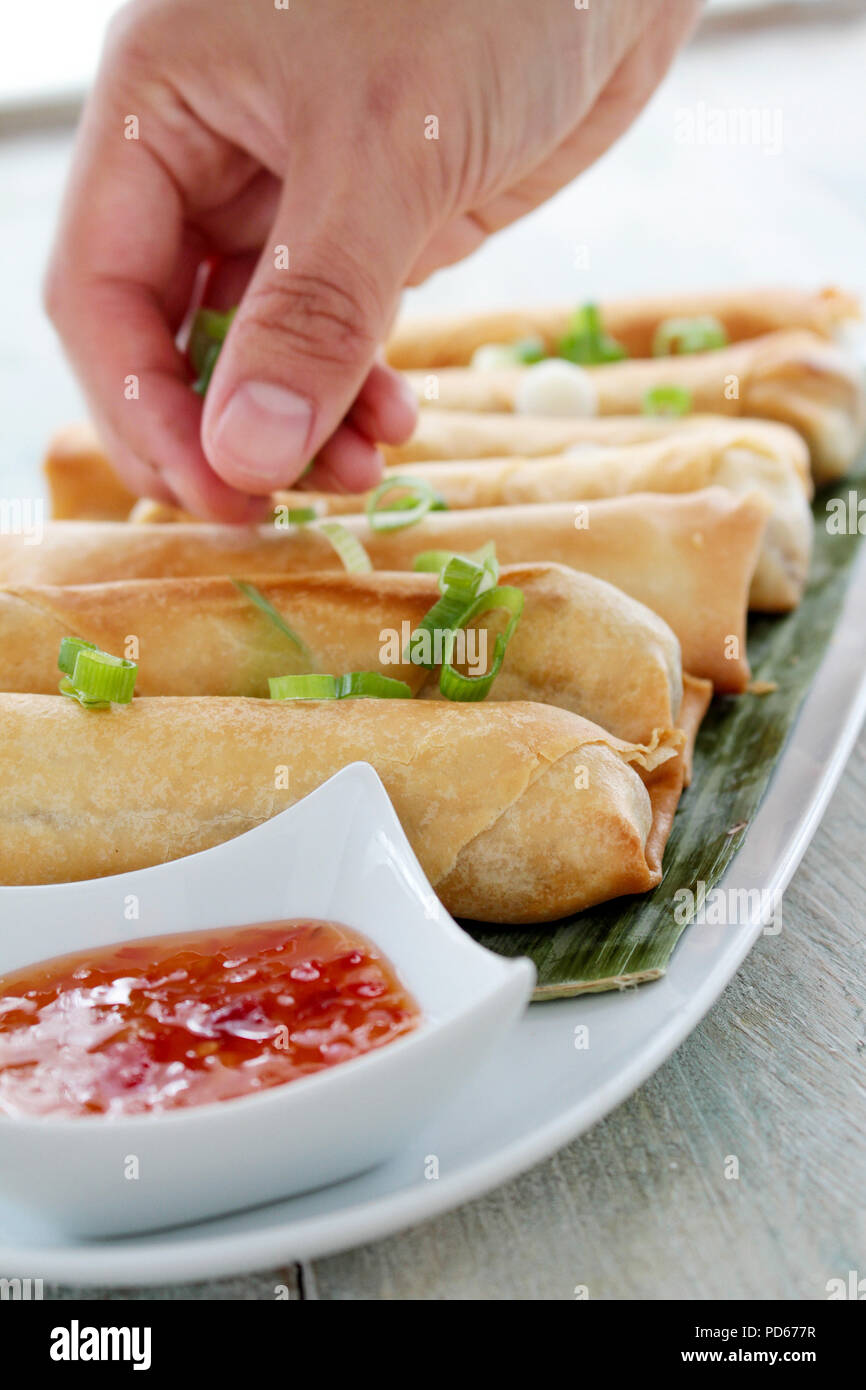Chop suey rollen -Fotos und -Bildmaterial in hoher Auflösung – Alamy