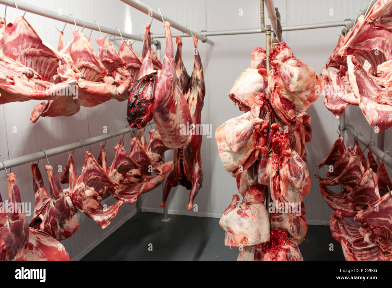 Im Alter von Rindfleisch Steak schneiden Stockfoto