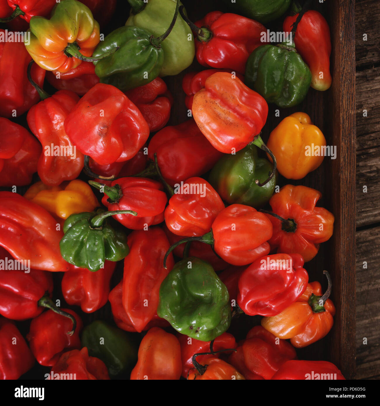 Hot Chili peppers Stockfoto