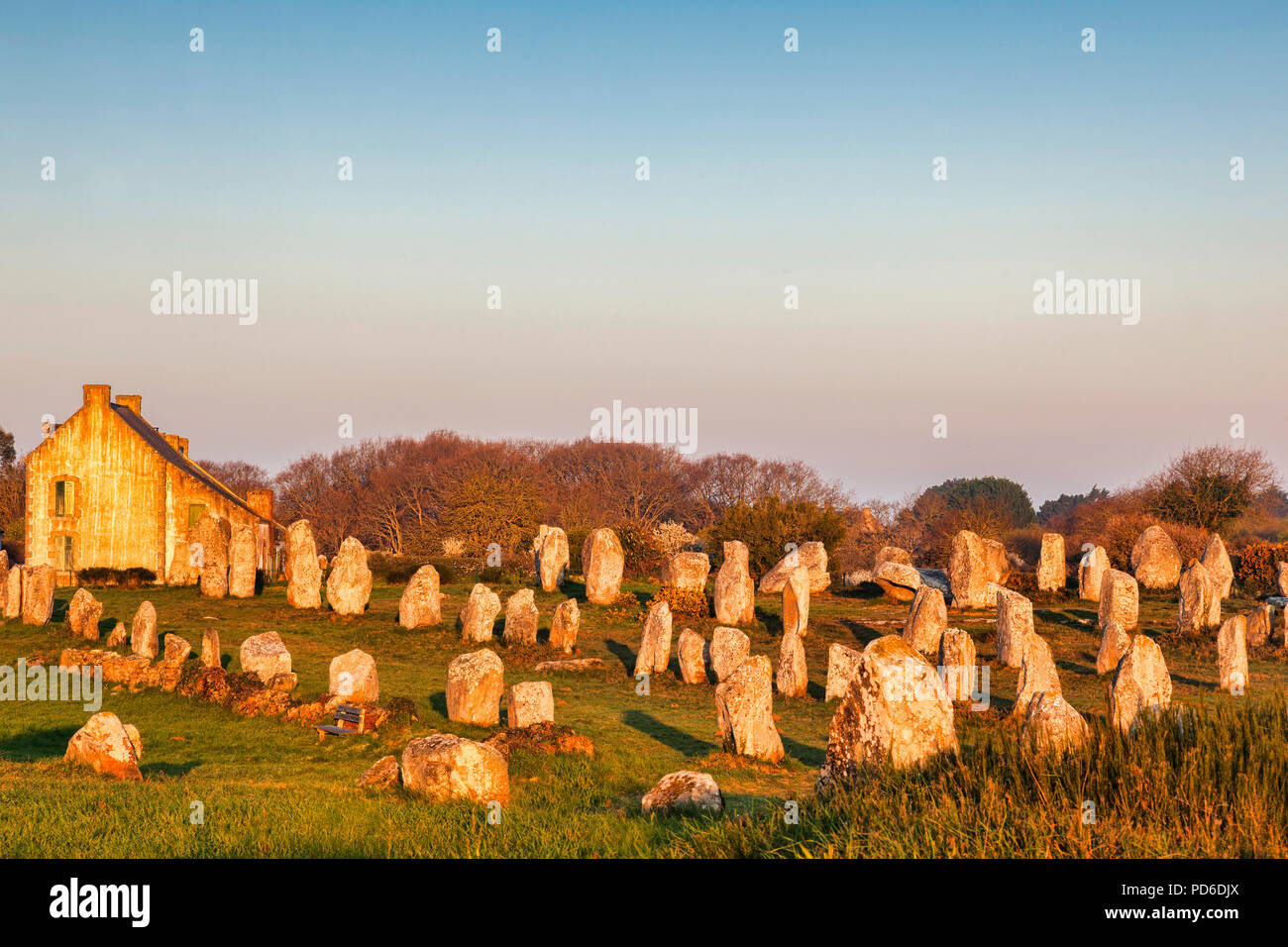 Einige der 3000 Steine am UNESCO-Weltkulturerbe von Carnac, Bretagne, Frankreich. Stockfoto
