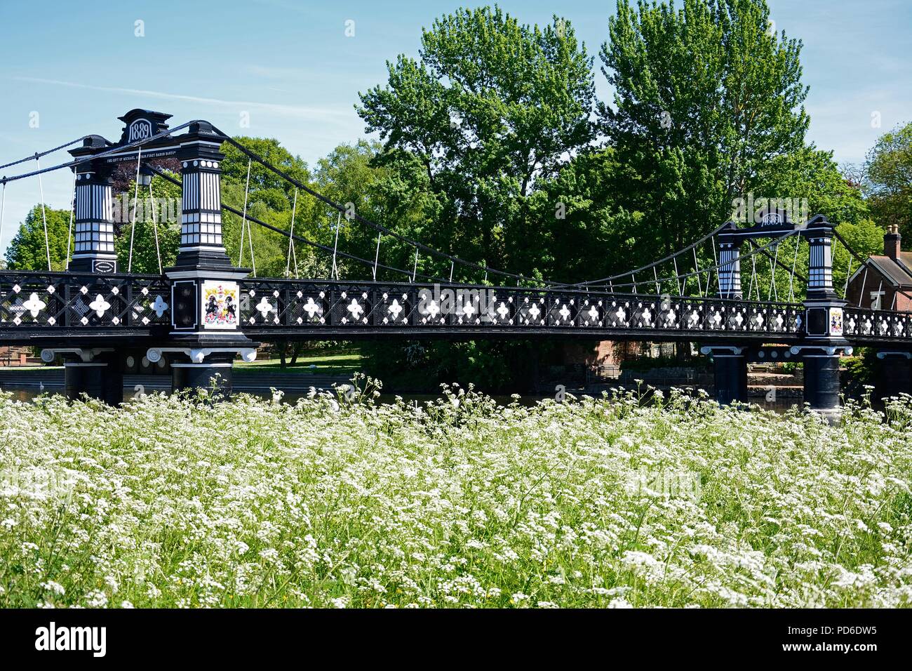 Blick auf die Ferry Bridge auch als stapenhill Ferry Bridge und dem Fluss Trent mit Kuh Petersilie im Vordergrund, Burton upon Trent, Stafford bekannt Stockfoto