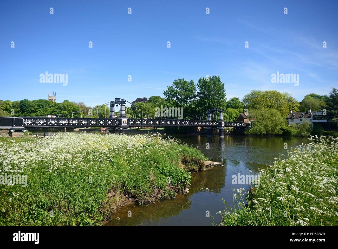 Blick auf die Ferry Bridge auch als stapenhill Ferry Bridge und dem Fluss Trent mit Kuh Petersilie im Vordergrund, Burton upon Trent, Stafford bekannt Stockfoto