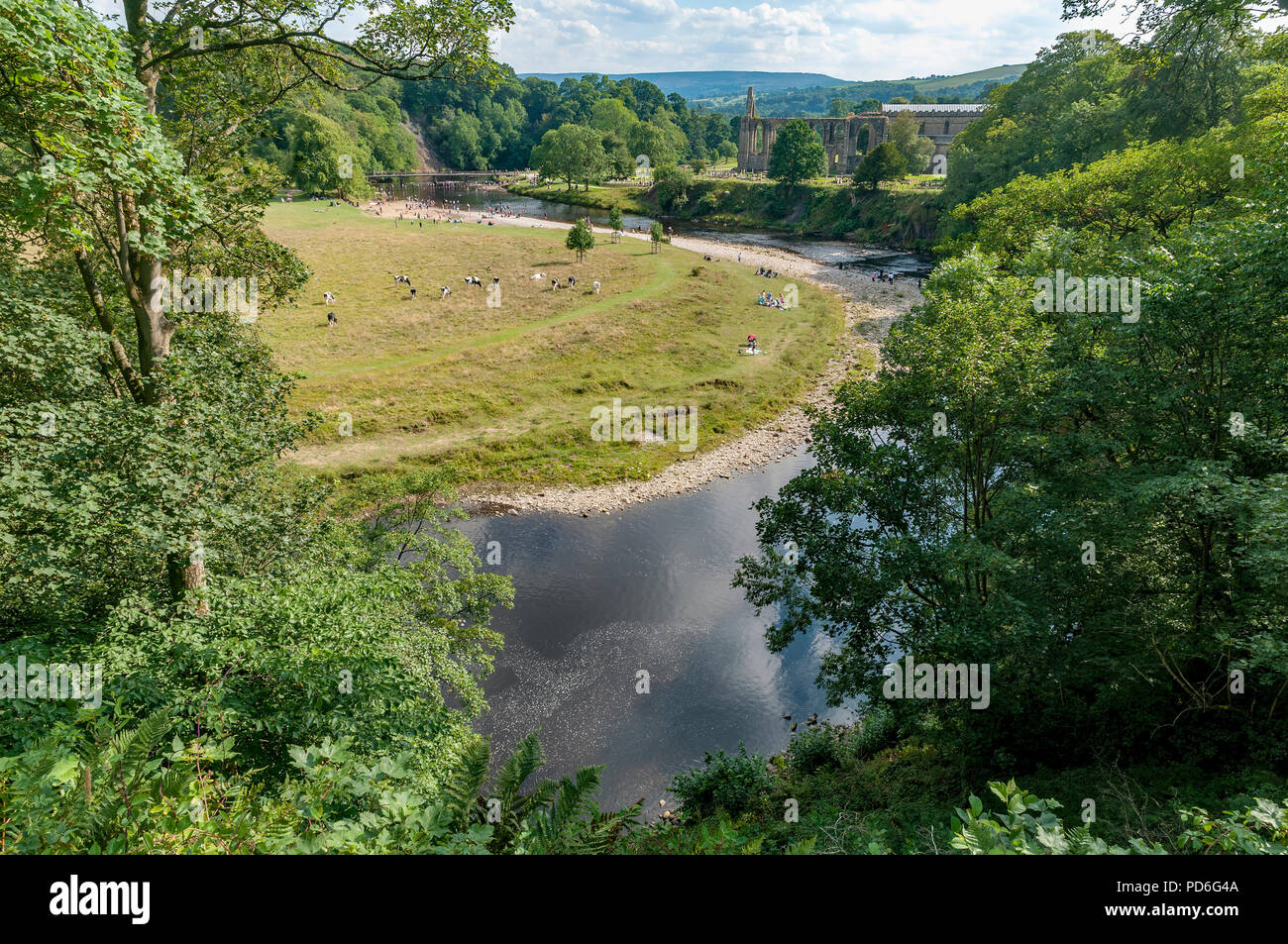 Bolton Abbey. West Yorkshire. River Wharfe. Stockfoto