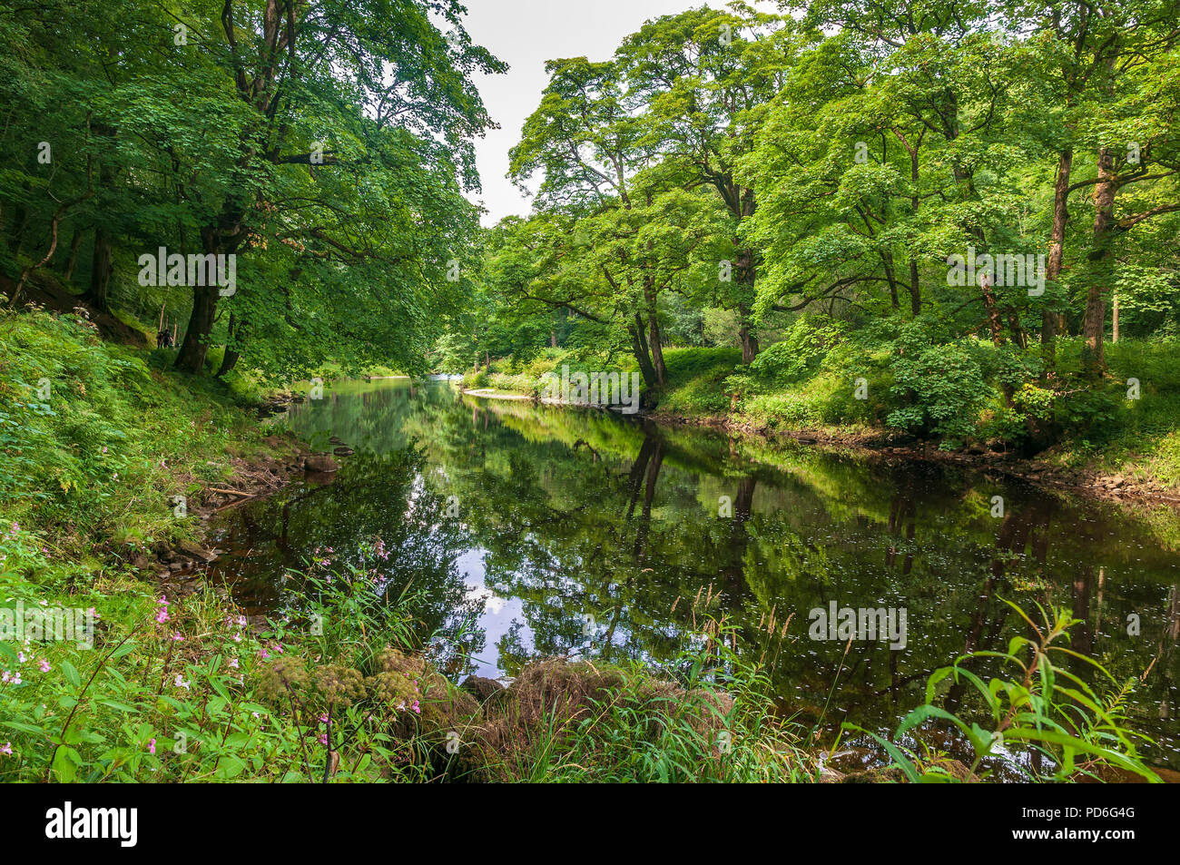 Bolton Abbey. West Yorkshire. River Wharfe. Stockfoto