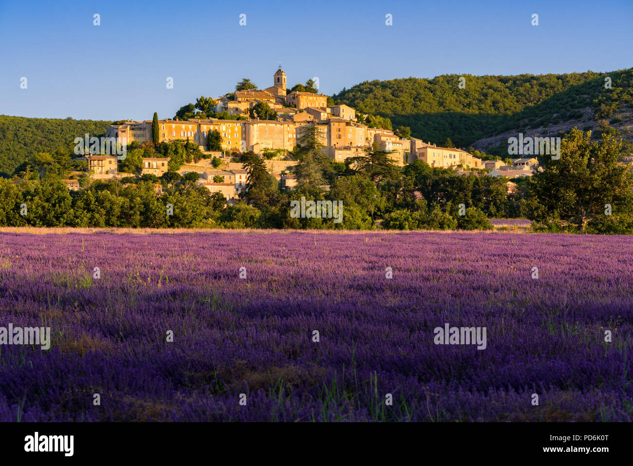 Das Dorf Banon in der Provence mit Lavendel Felder bei Sonnenaufgang. Sommer in der Alpes-de-Hautes-Provence. Alpen, Frankreich Stockfoto