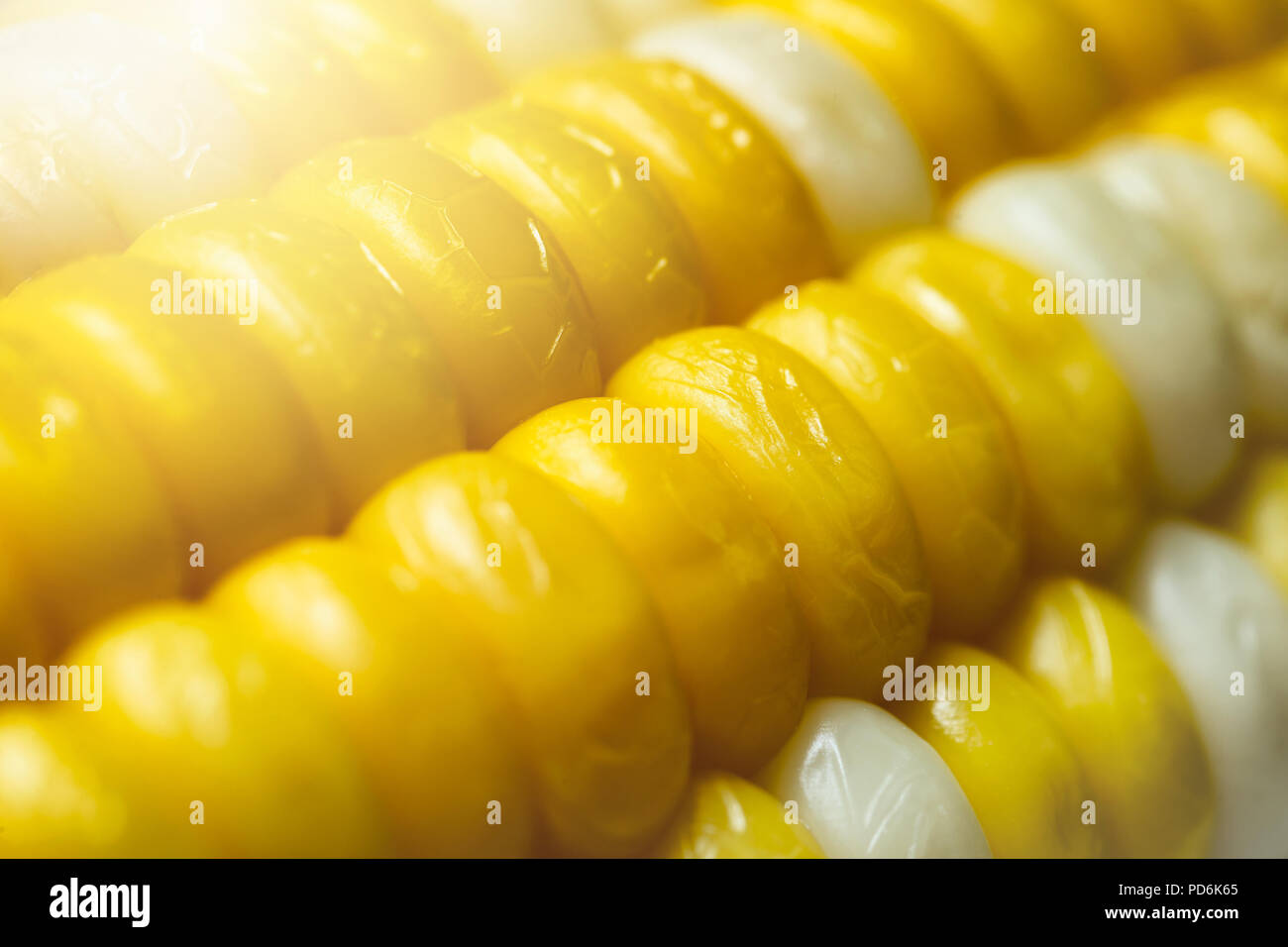 Mehrfarbige gekochten Mais hautnah in der Natur Hintergrund. Stockfoto