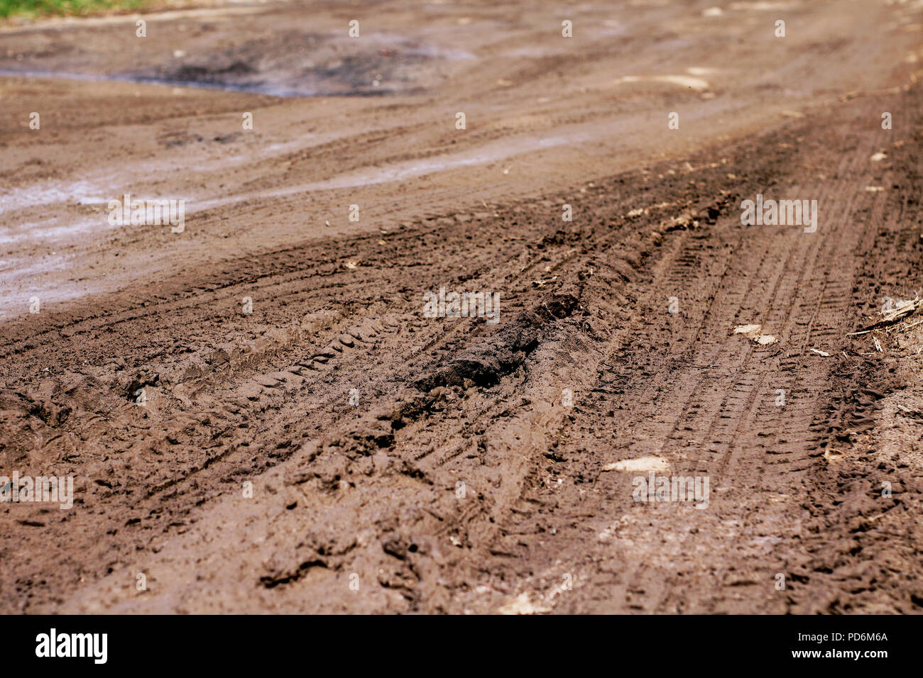 Frische Fahrzeugspuren in nassen Frühling Schlamm Boden Perspektive beeindruckt. Stockfoto