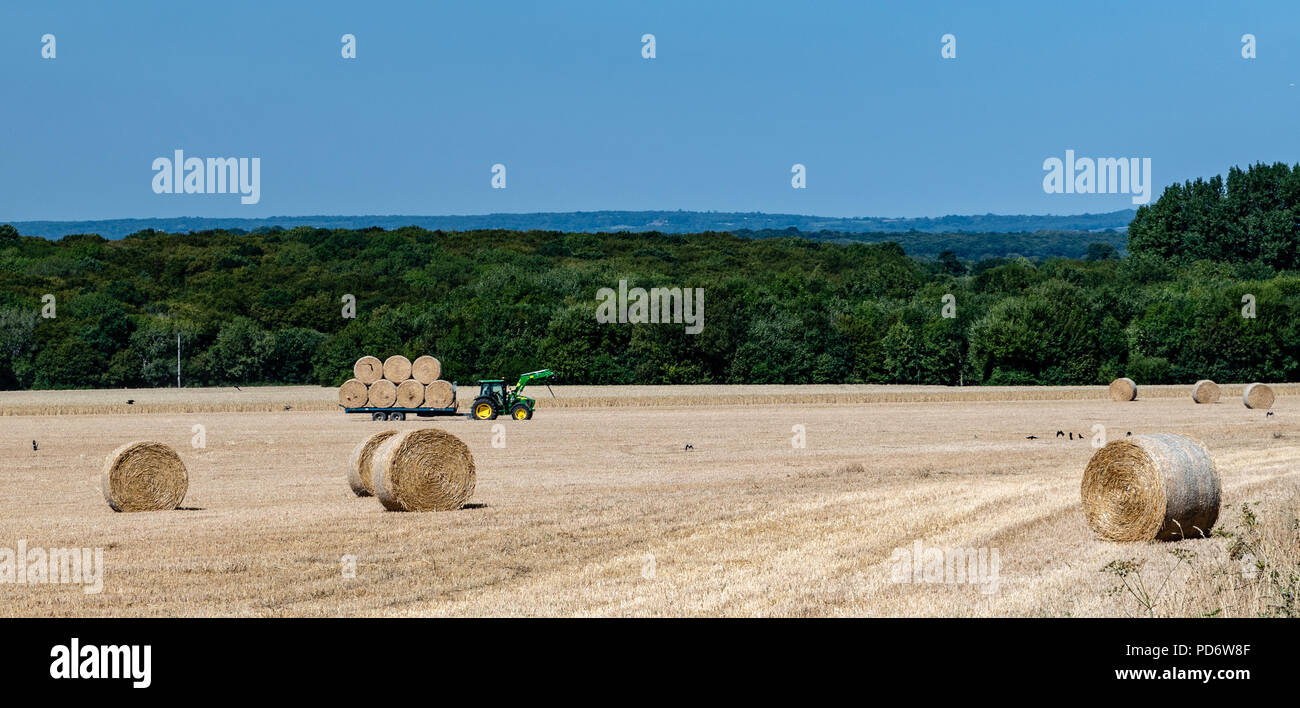Die Zeit der Ernte im Plumpton Sussex Stockfoto