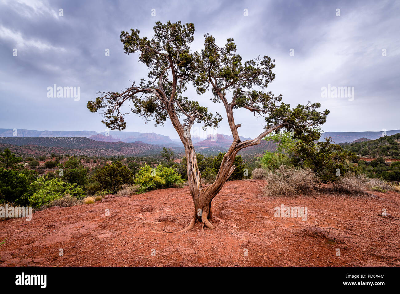 Crescent Moon Ranch Tag Bereich verwenden Stockfoto