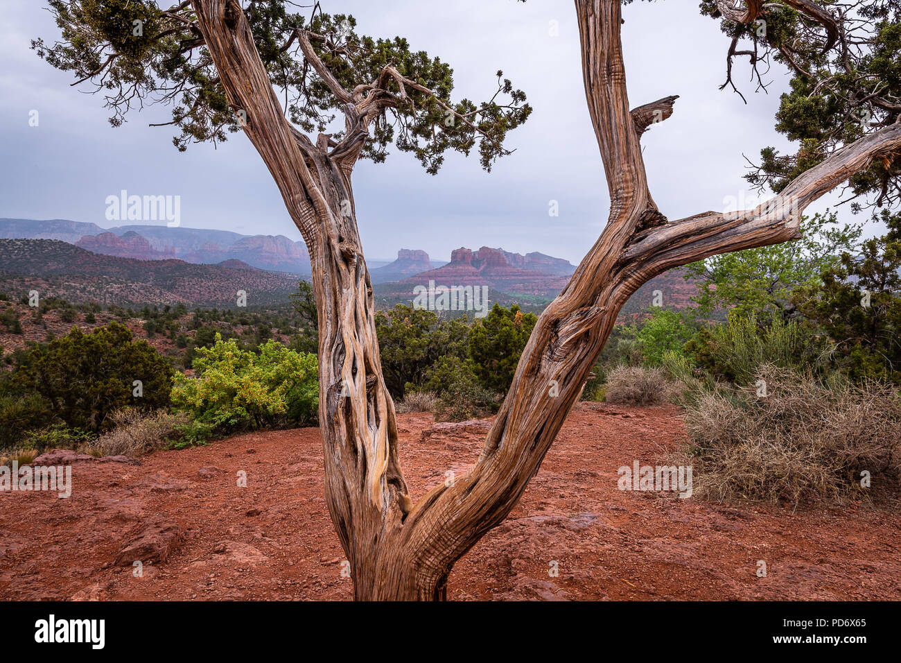 Crescent Moon Ranch Tag Bereich verwenden Stockfoto