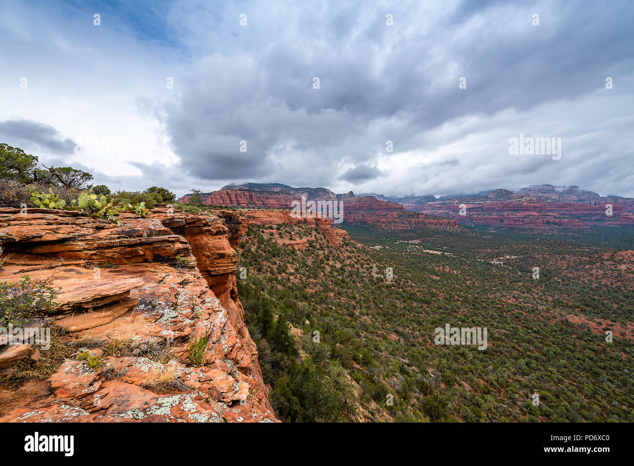 Doe Mountain Trail Stockfoto