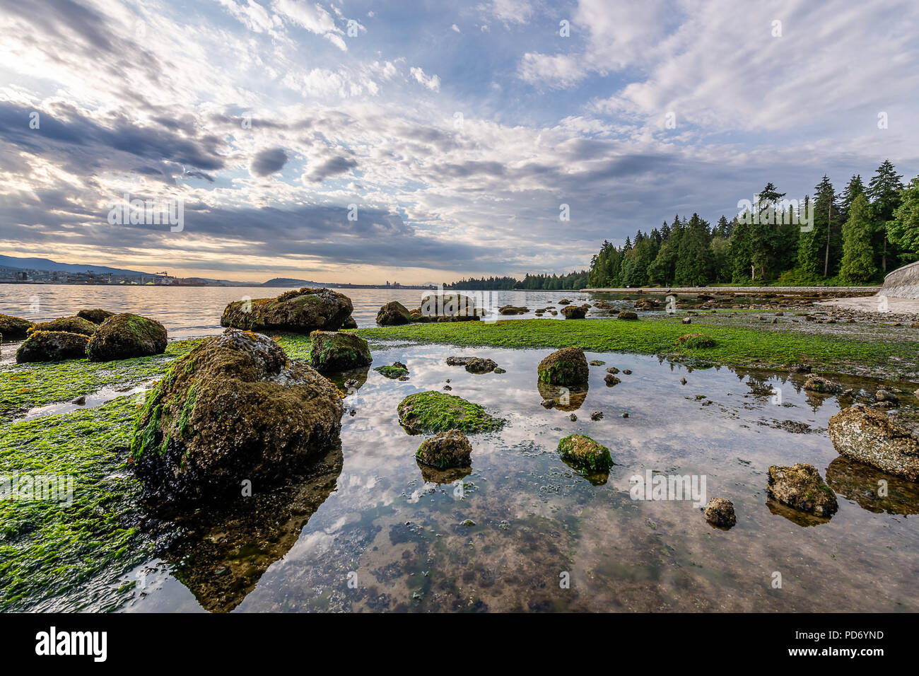 Einen morgendlichen Spaziergang entlang der Stanley Ufermauer im Stanley Park Stockfoto
