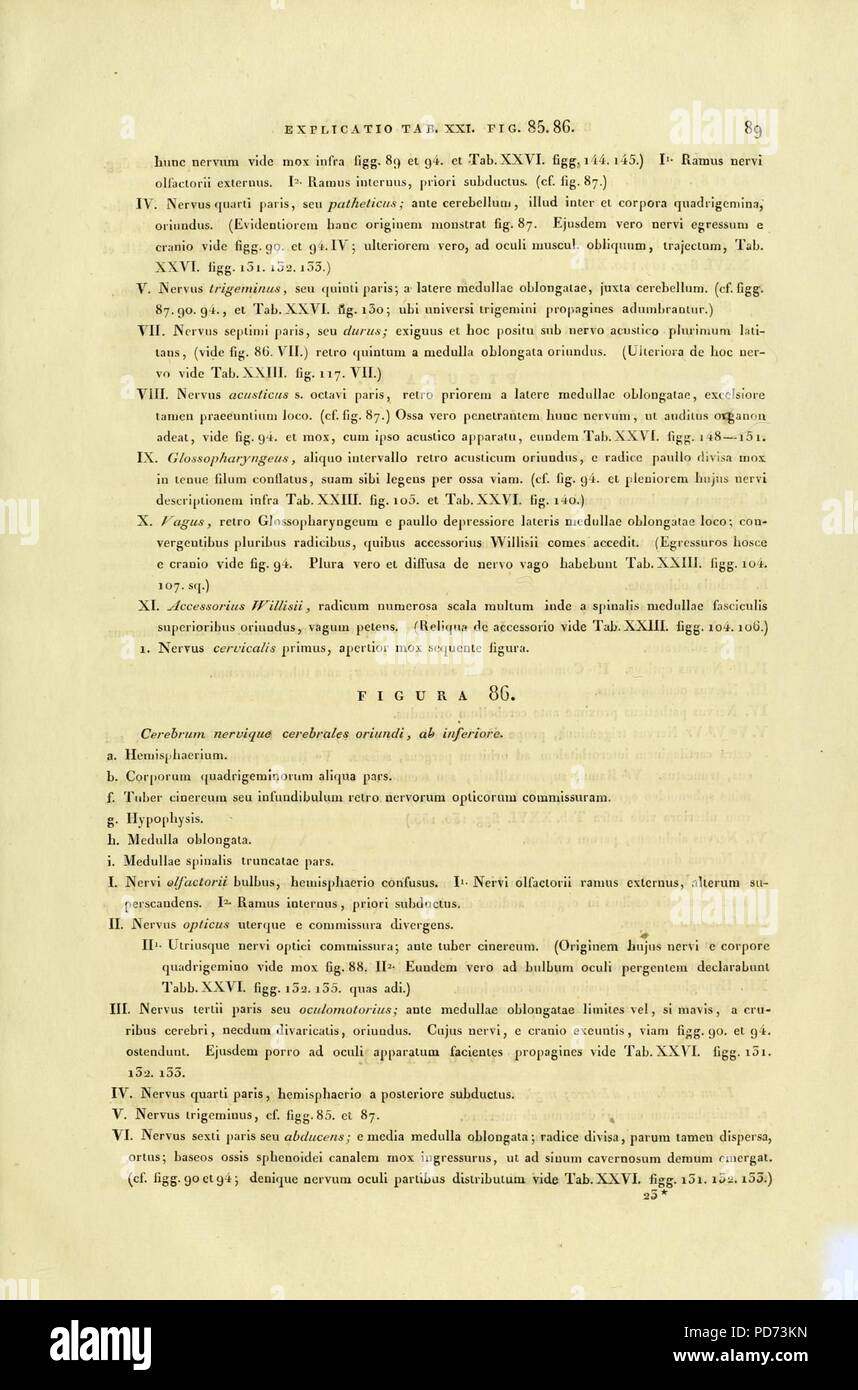 Anatome testudinis Europaeae (Seite 89) Stockfoto