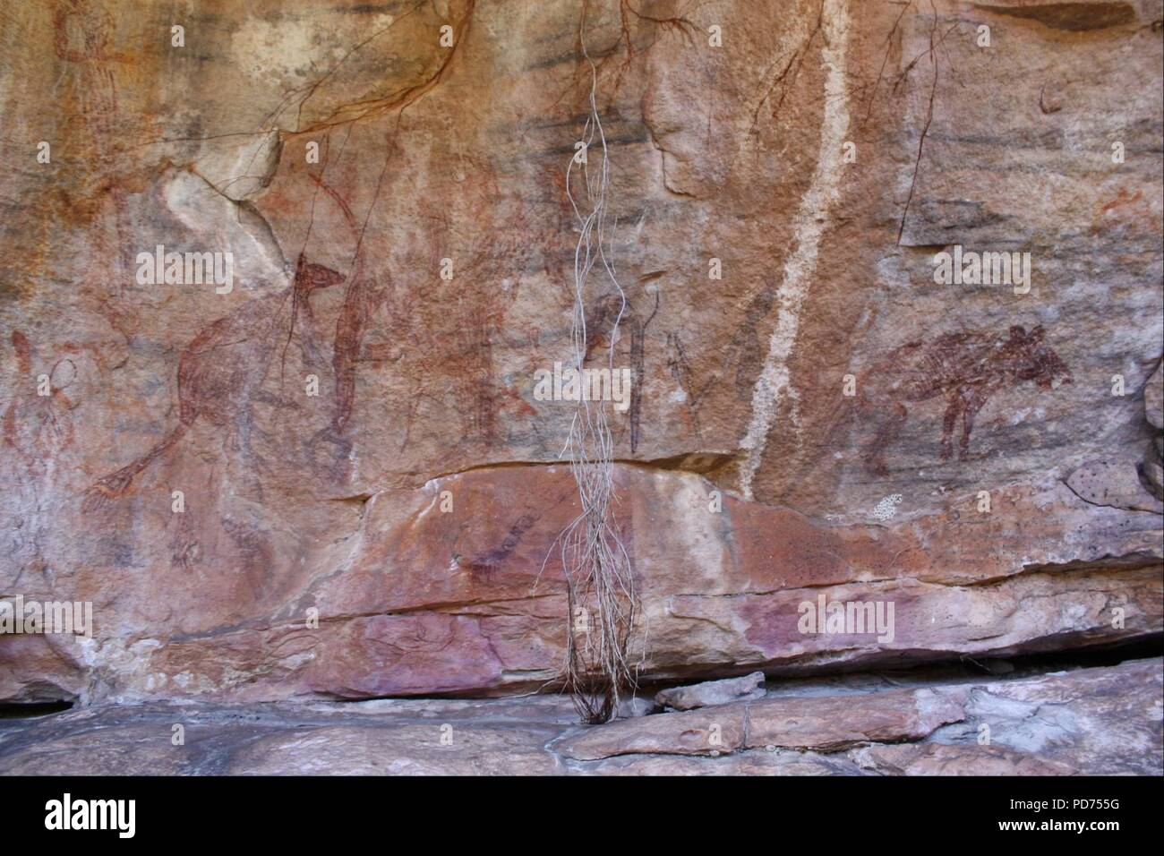 Alte Tier Panel - Stockfoto