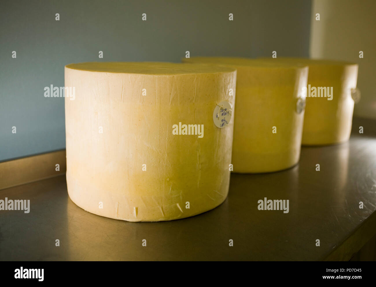 Cheddar Käse Produktion/Speichern Stockfoto