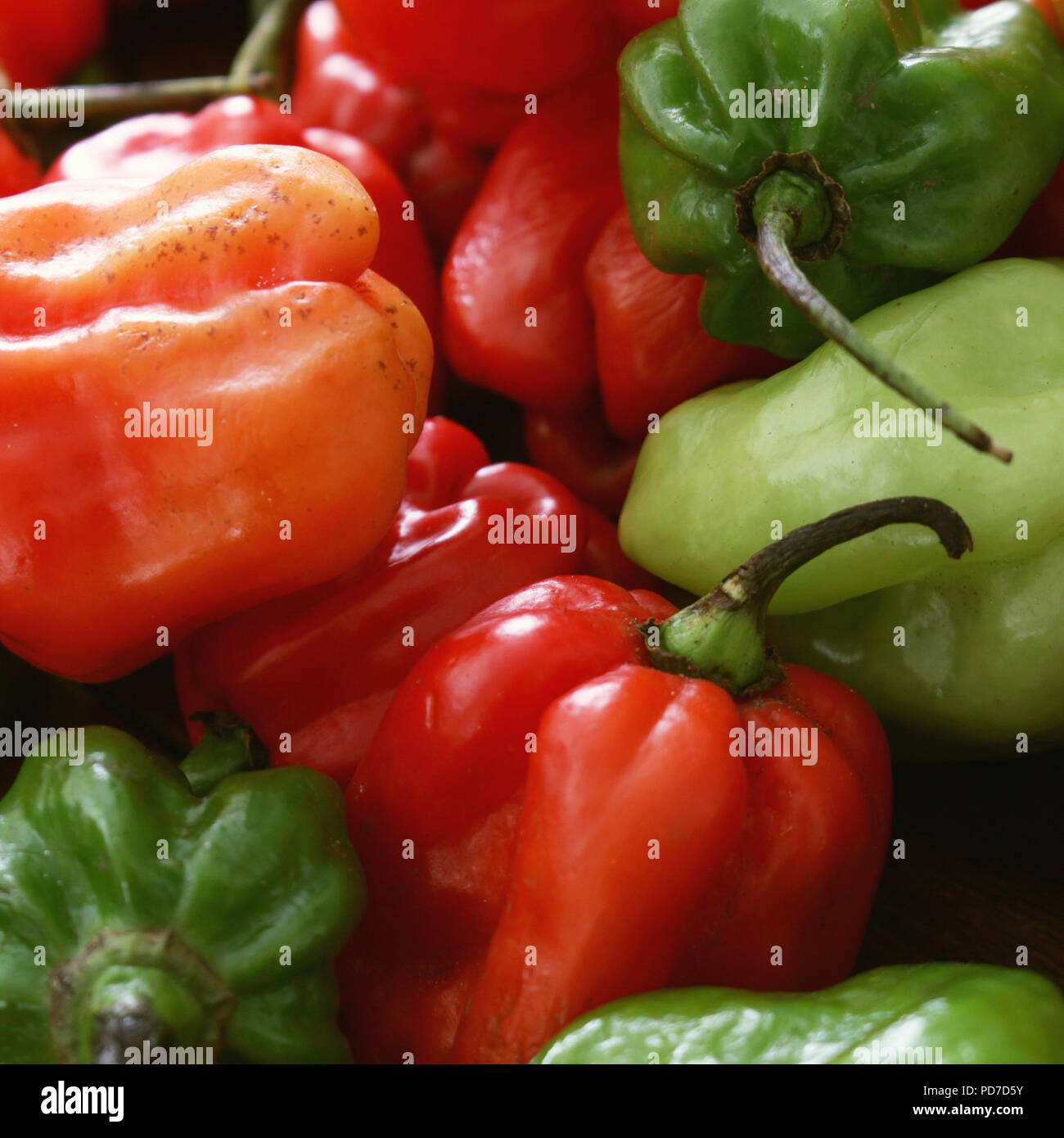 Hot Chili peppers Stockfoto