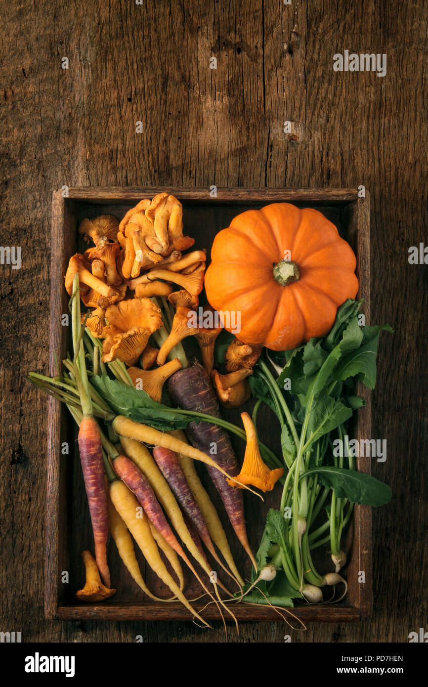 Gemüse der Saison Herbst Stockfoto