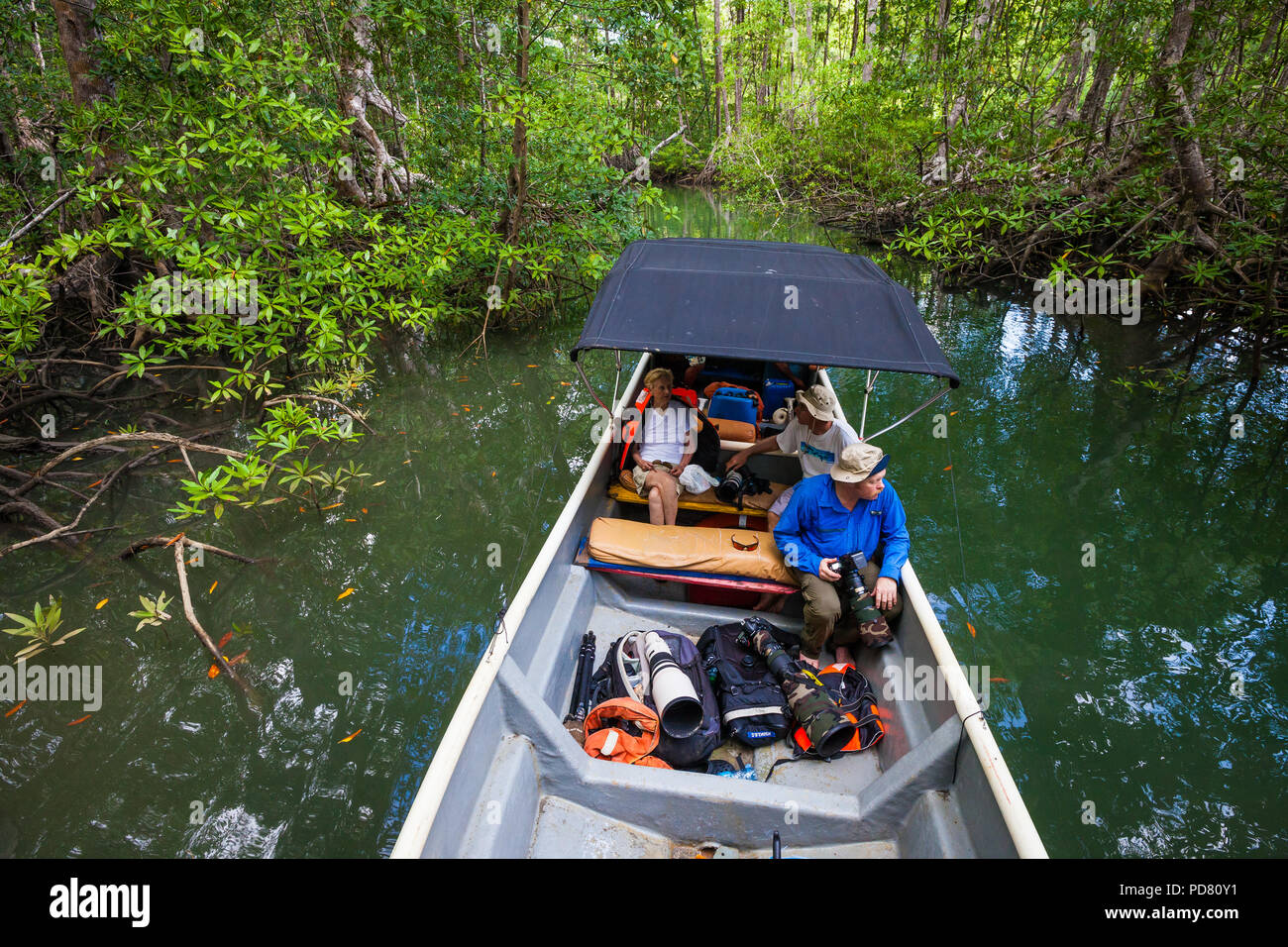 Natur Touristen in einem Boot in die Mangrovenwälder an der Insel Coiba Nationalpark, Provinz Veraguas, Republik Panama. Stockfoto