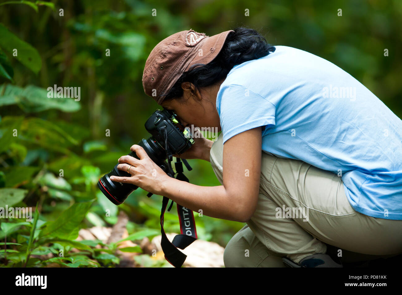Naturfotograf bei der Arbeit im Regenwald von Altos de Campana Nationalpark, Republik Panama. Stockfoto