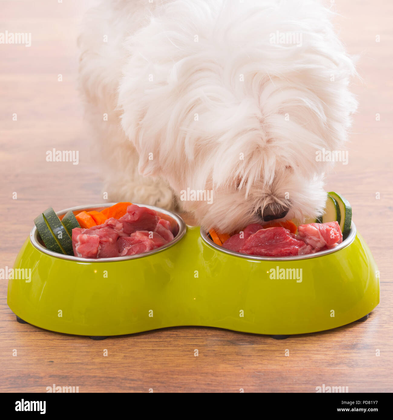 hundebett fluffy LIFEAPP Lazy Bed
