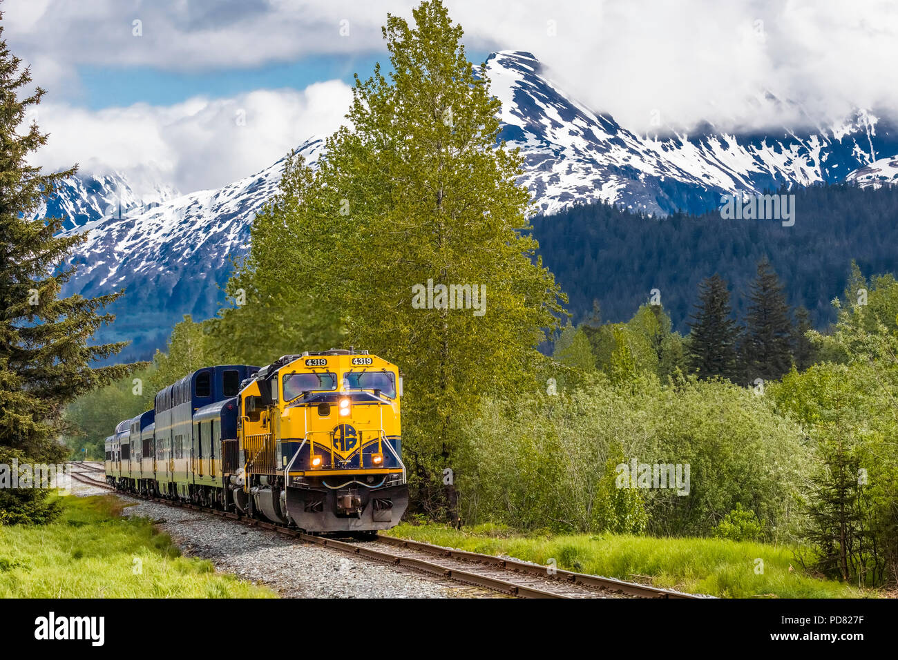 Die schneebedeckten Berge im Hintergrund des Coastal Classic Zug der Alaska Railroad von Anchorage, Seward, Alaska Stockfoto