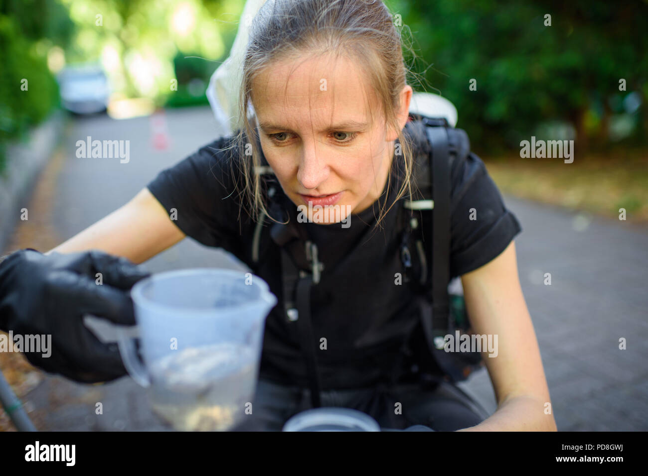 Berlin, Deutschland. 06 Aug, 2018. Nadja Pernat, Biologe am Leibniz-Zentrum für Agrarlandschaftsforschung, untersucht eine Sammlung Behälter mit einem Feldversuch zur Erforschung von Moskitos in einem Schrebergarten. Der Biologe möchte, um herauszufinden, welche Art Moskitos gibt es in Berlin. Credit: Gregor Fischer/dpa/Alamy leben Nachrichten Stockfoto